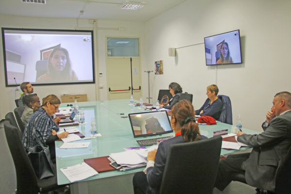 Legal Roundtable on “Rule of Law for SFA activities in Crisis Zones”