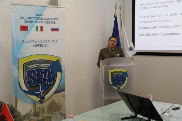 Insights on Strategic Advising for SFA project presentation